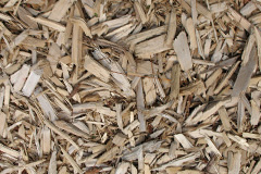 biomass boilers Carland